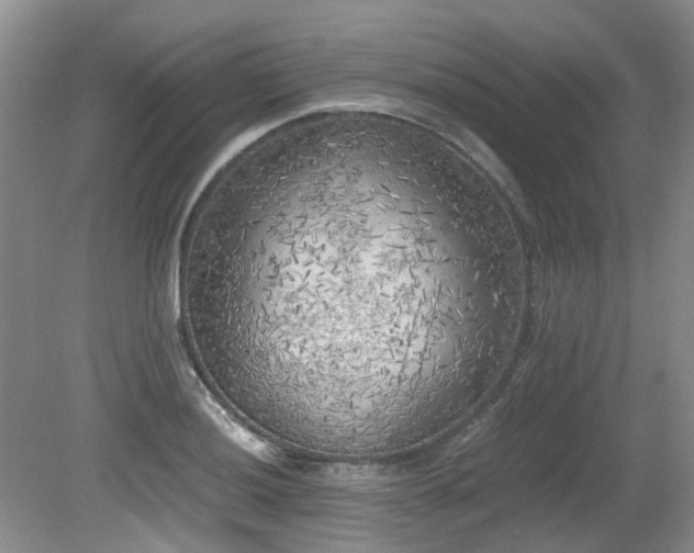 X0000080701036200612151309