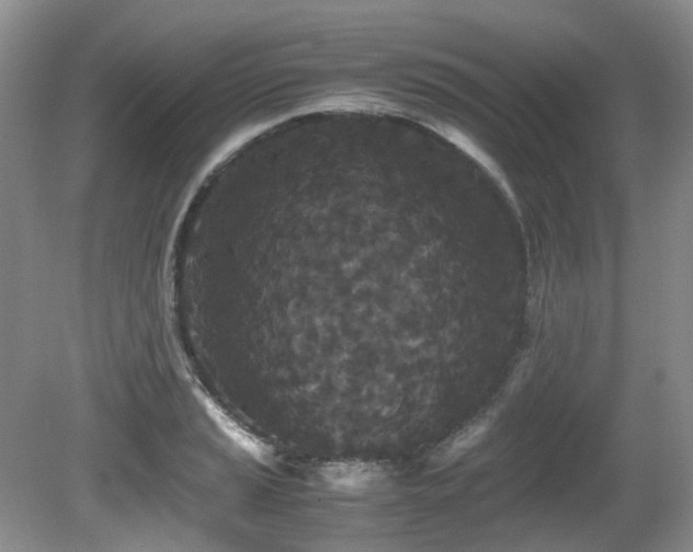 X0000080701037200612151309