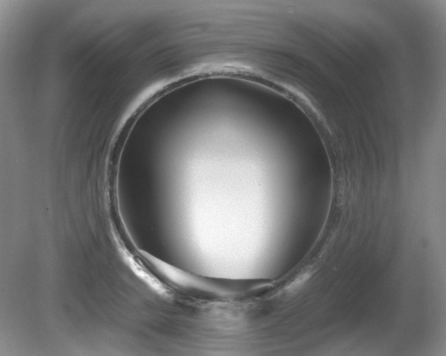 X0000080701038200612151309