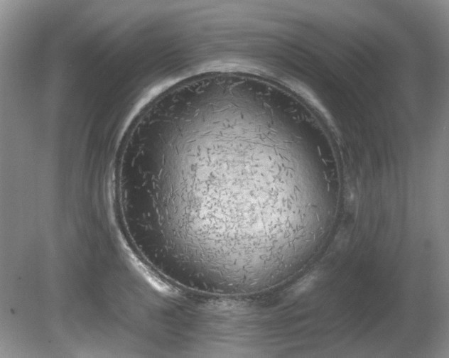 X0000080701040200612151309