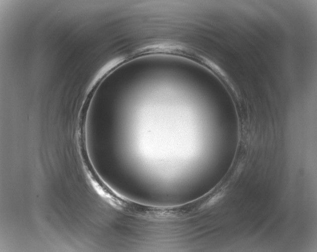 X0000080701042200612151309