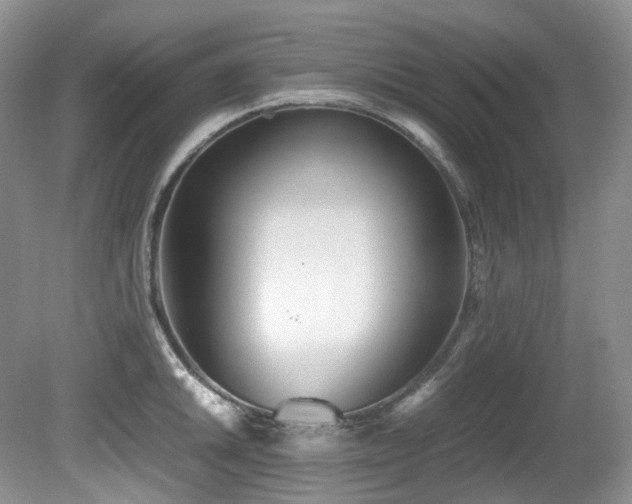 X0000080701046200612151309