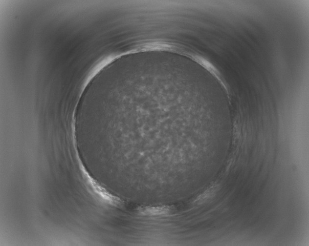 X0000080701047200612151309