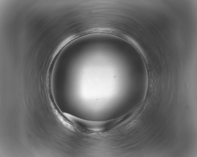 X0000080701050200612151309