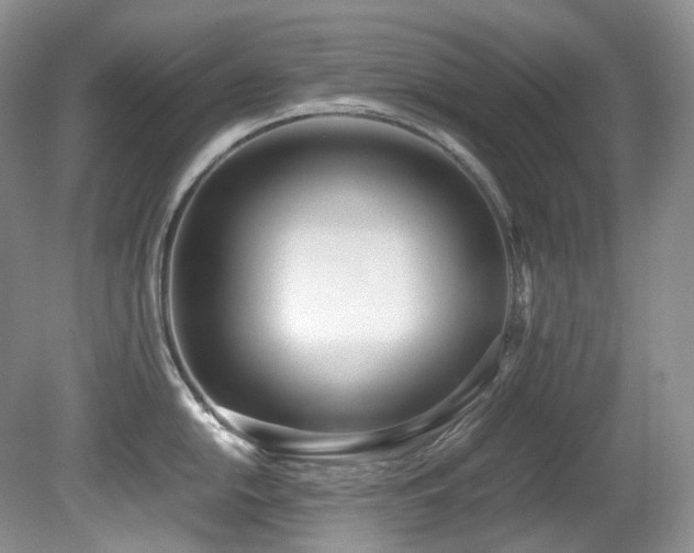 X0000080701054200612151310
