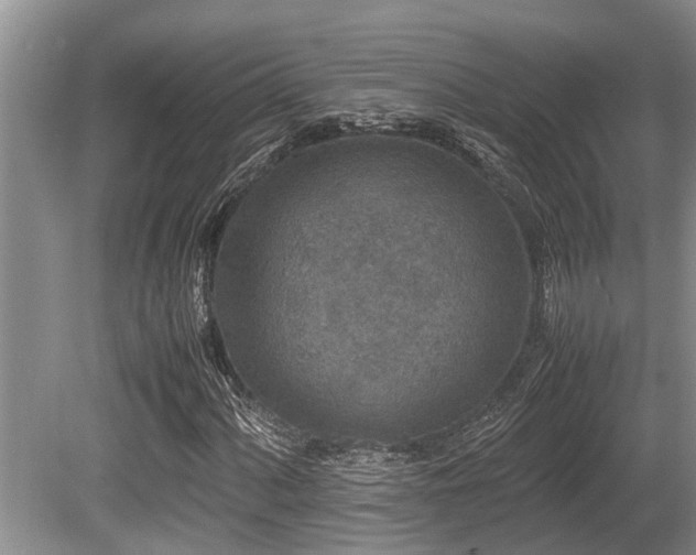 X0000080701060200612151309