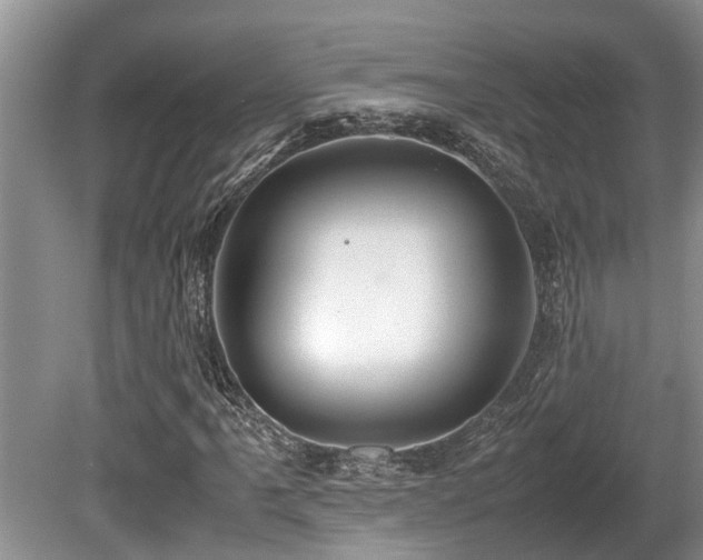 X0000080701061200612151309