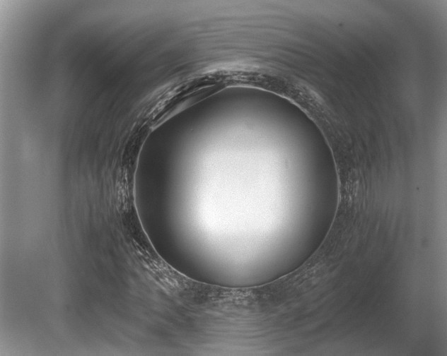 X0000080701062200612151309