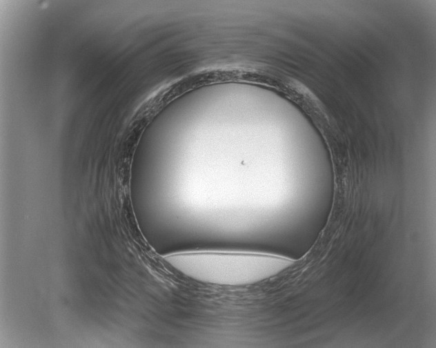 X0000080701064200612151309