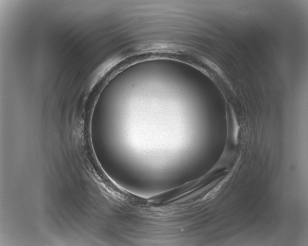 X0000080701066200612151309