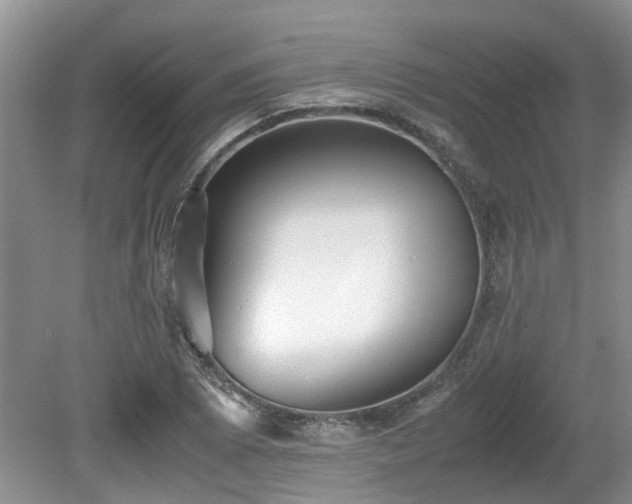 X0000080701073200612151308