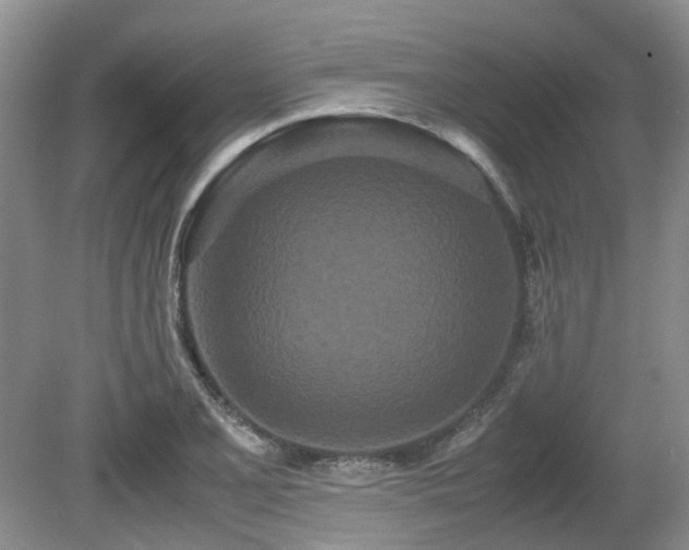 X0000080701077200612151308