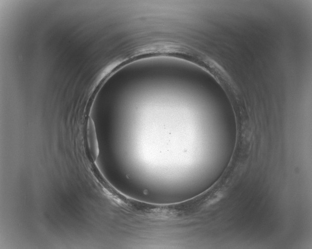 X0000080701081200612151308
