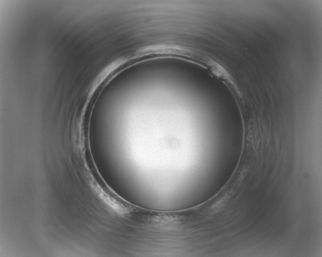 X0000080701082200612151308