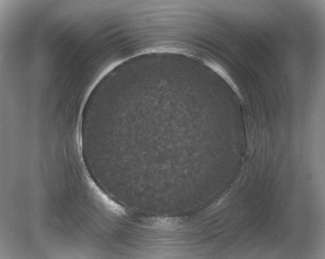 X0000080701084200612151308