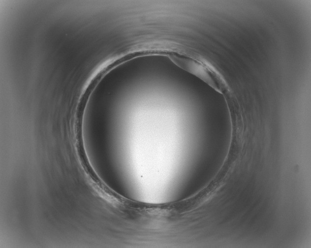 X0000080701085200612151308