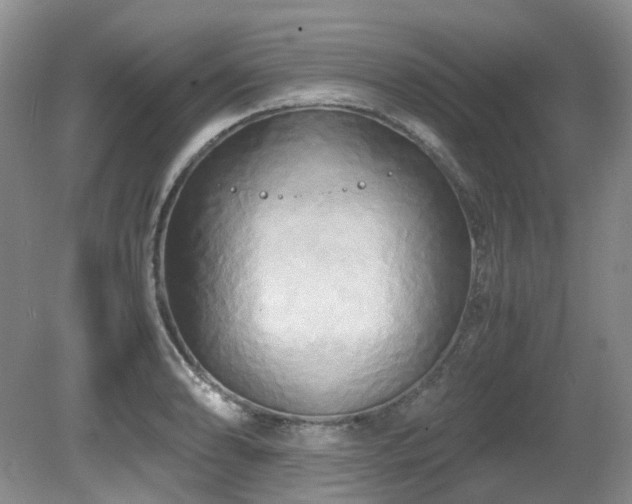 X0000080701086200612151308
