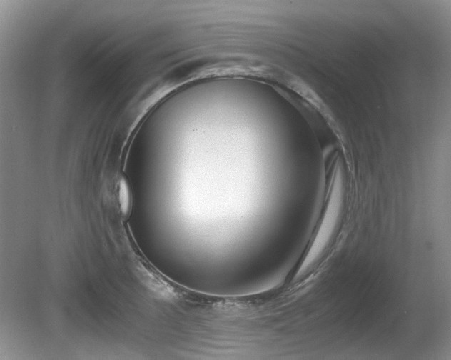 X0000080701089200612151308