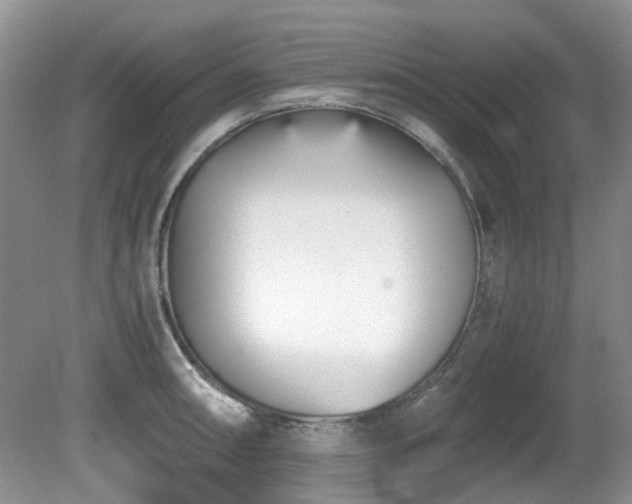 X0000080701090200612151308