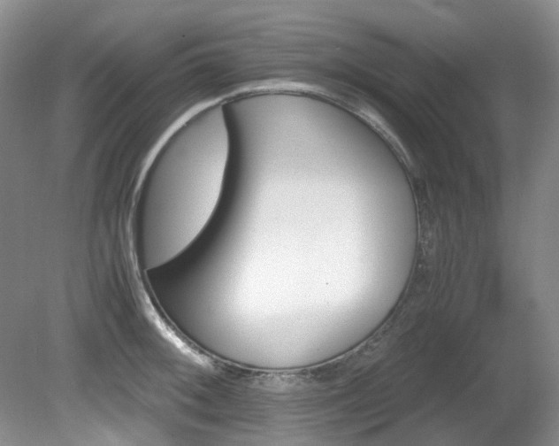 X0000080701092200612151308