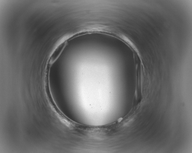 X0000080701093200612151308