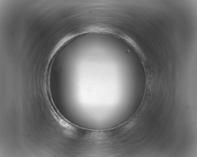 X0000080701094200612151308