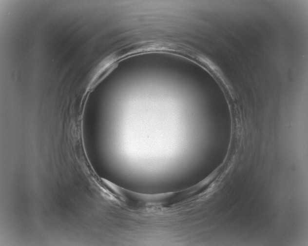 X0000080701097200612151308