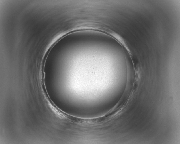 X0000080701101200612151308