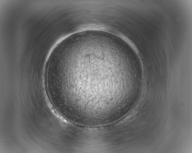 X0000080701104200612151308