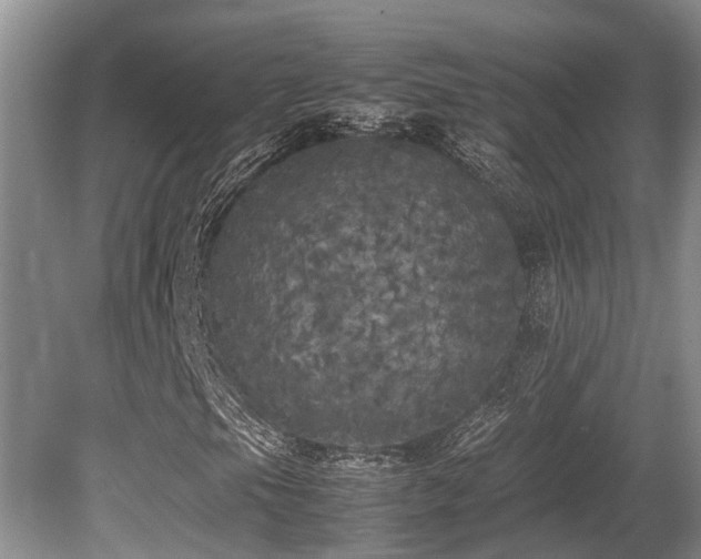 X0000080701105200612151307