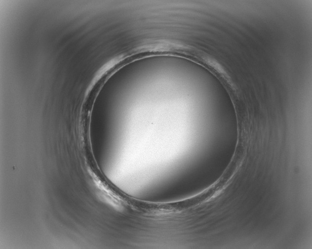 X0000080701122200612151307
