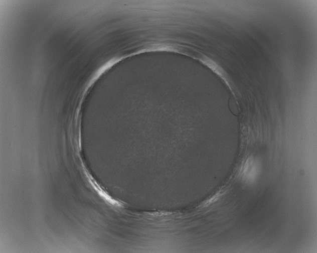 X0000080701127200612151308