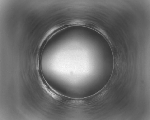X0000080701131200612151308