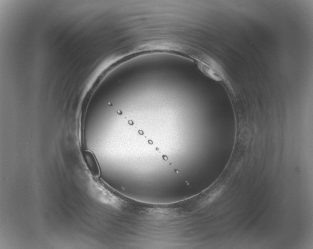 X0000080701132200612151308