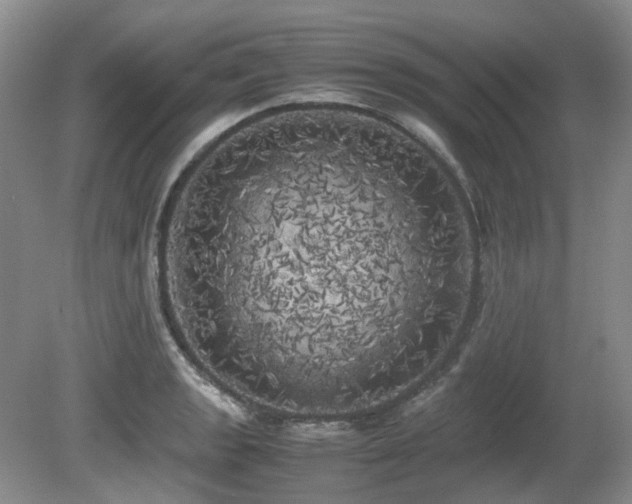 X0000080701133200612151308