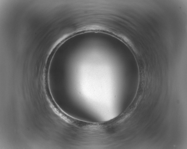 X0000080701134200612151308