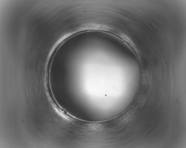 X0000080701136200612151308