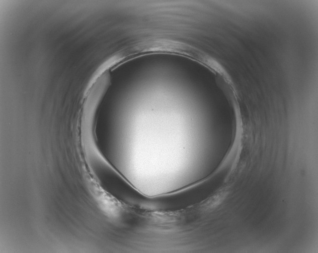 X0000080701138200612151308