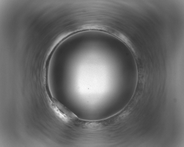 X0000080701140200612151308