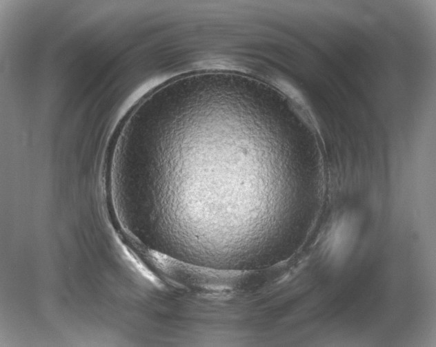 X0000080701141200612151308