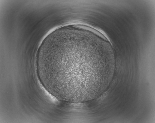 X0000080701142200612151308