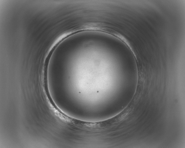 X0000080701147200612151308