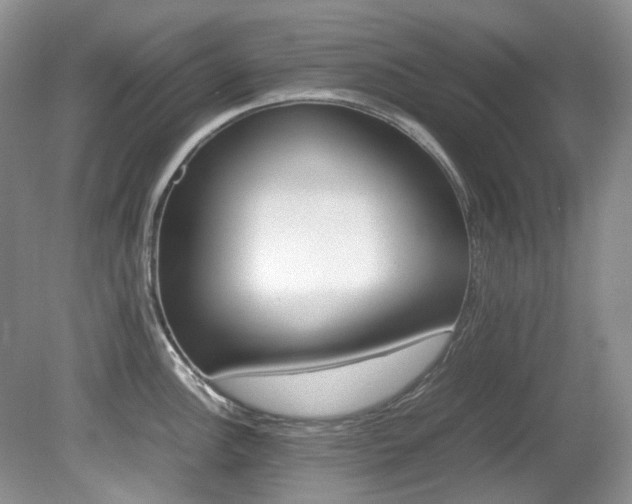 X0000080701148200612151308