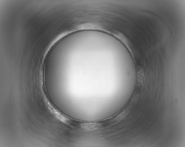 X0000080701150200612151308