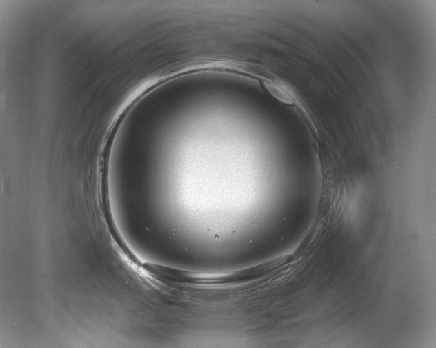 X0000080701151200612151308