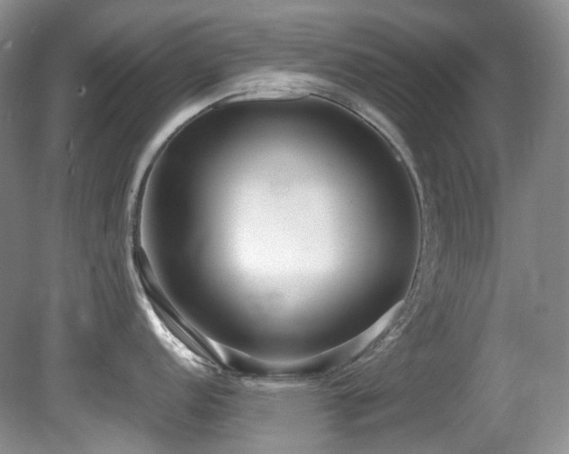 X0000080701152200612151308