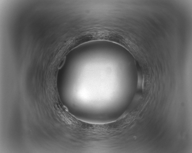 X0000080701153200612151307