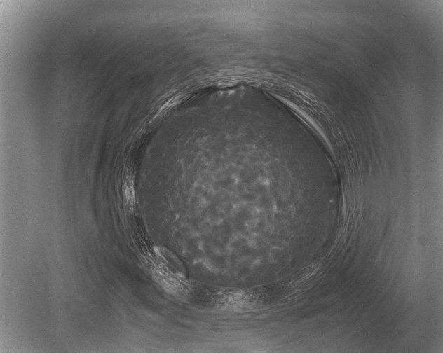 X0000080701155200612151307