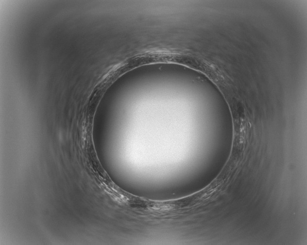 X0000080701157200612151307
