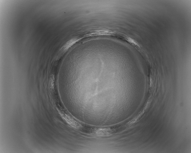 X0000080701161200612151307